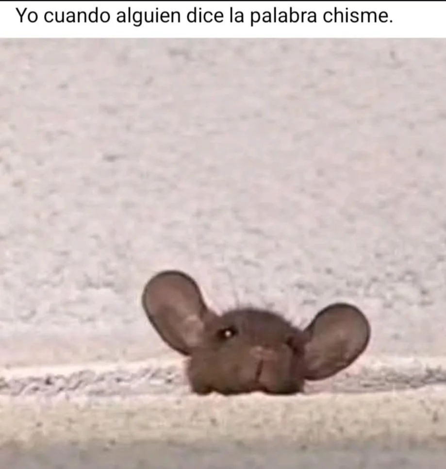 Yo no lo busco, el chisme llega solo 😅