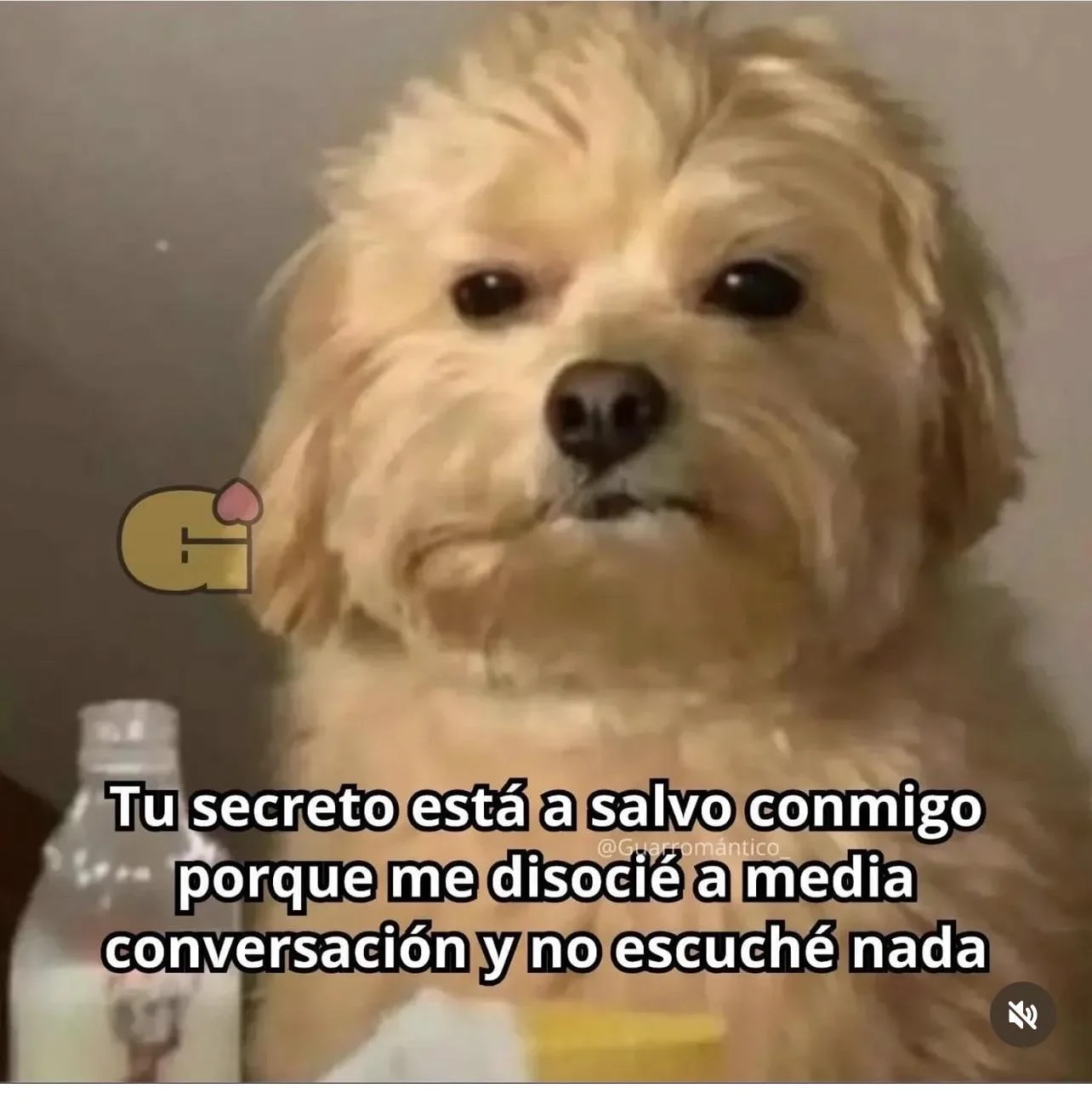 Jajajajajaja yo siempre
