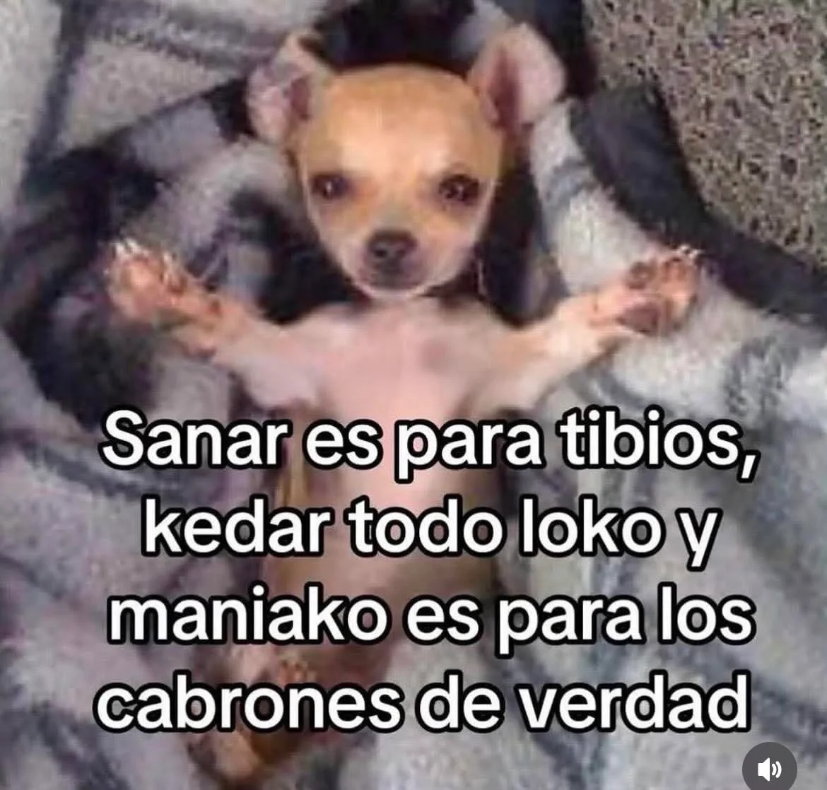 Memes domingueros: ¡El mejor humor para tu domingo!