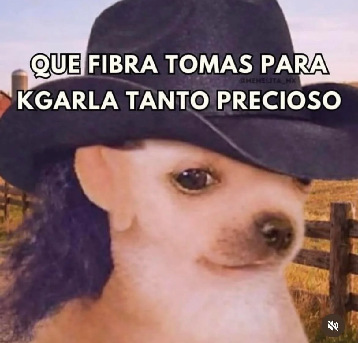 Memes domingueros: ¡La dosis de risa para tu domingo!