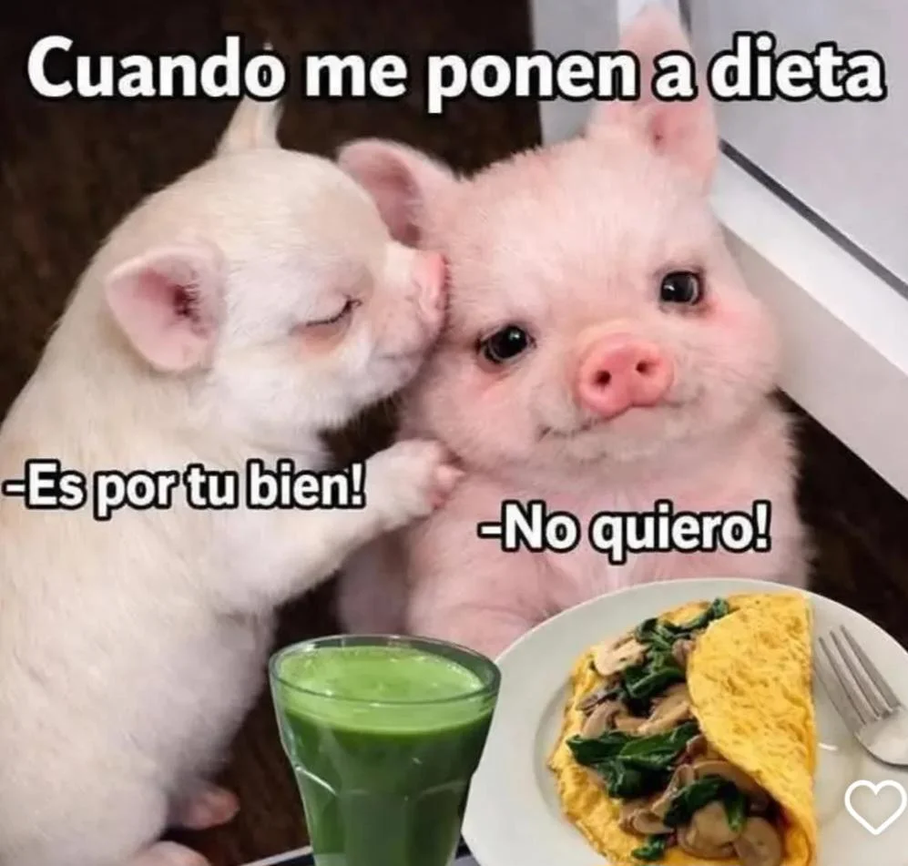 Lunes de dieta: memes para empezar con humor