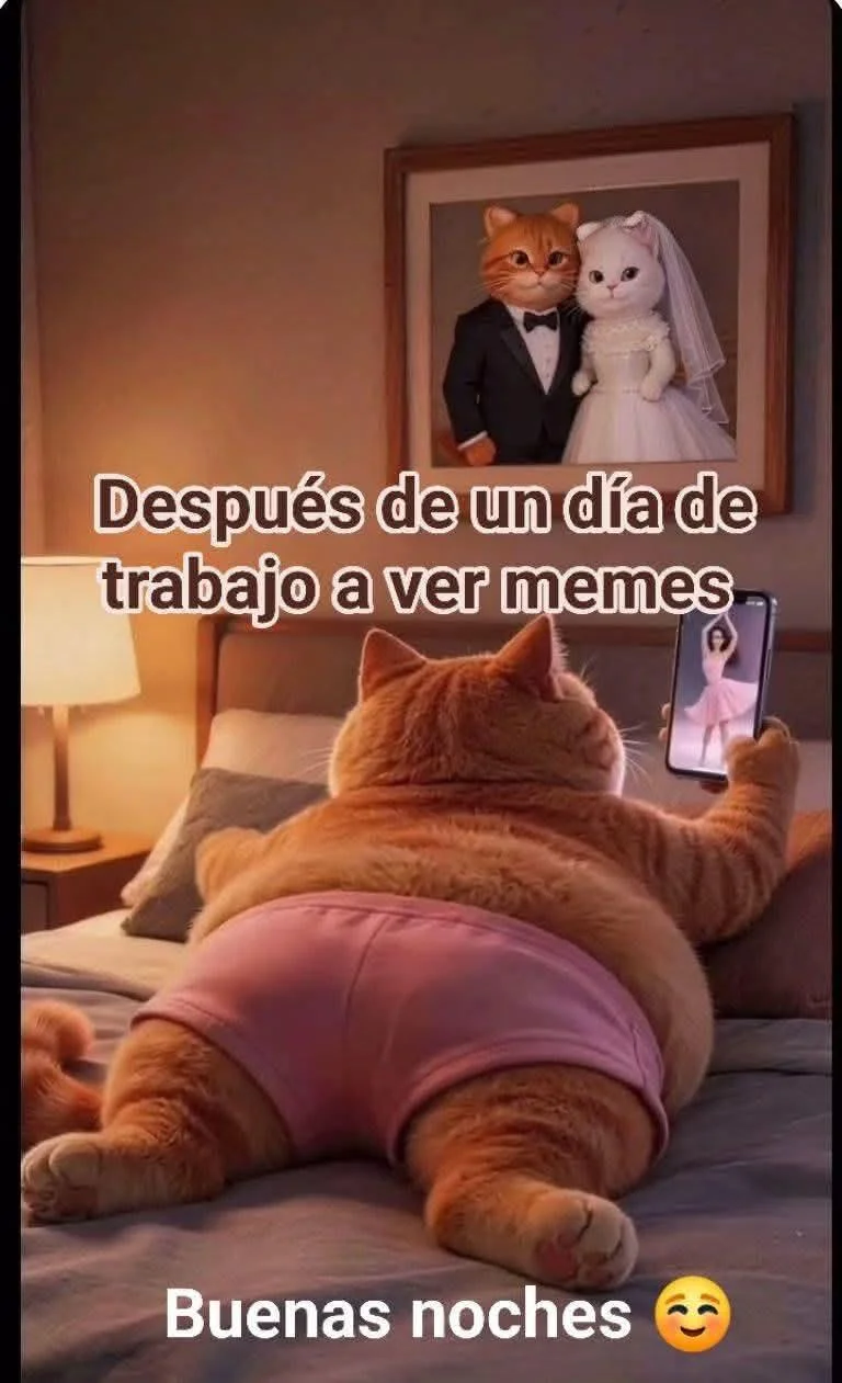 ¡Buena noche a todos! Memes para terminar el día con risas