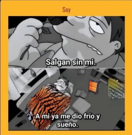Con mi colcha de tigre jajajaja