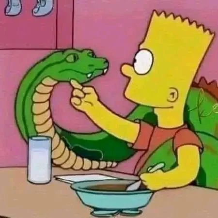 Asi me siento cuando hablo con mi suegra JAJAJAJAJAJAJA