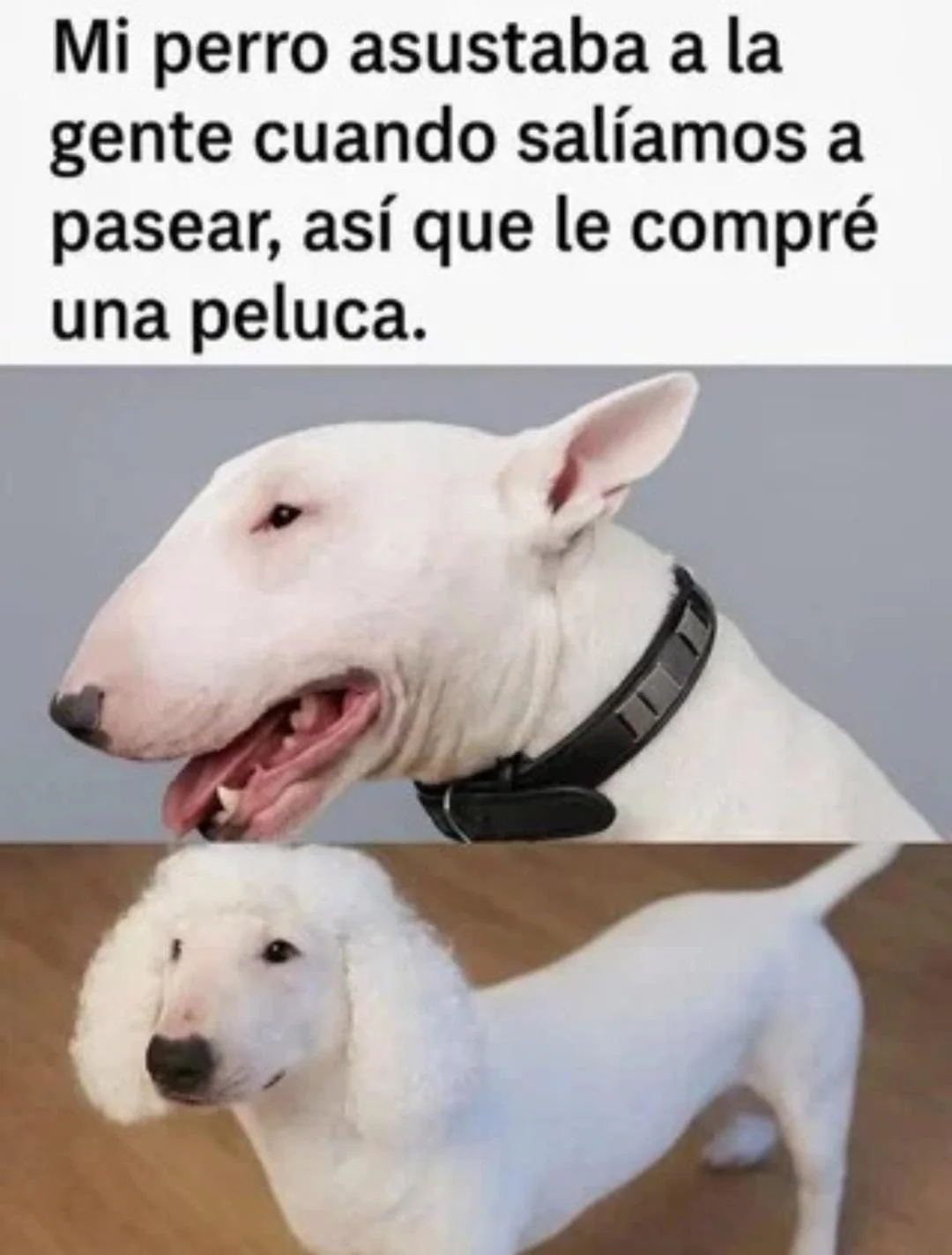 Un pequeño cambio