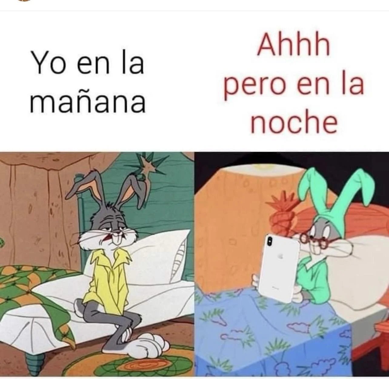 Memes de la vida diaria: ¿A quién más le pasa esto?