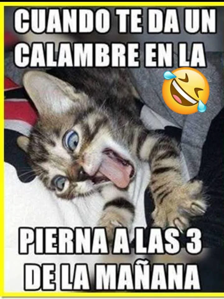 Si soy😅🤣😅