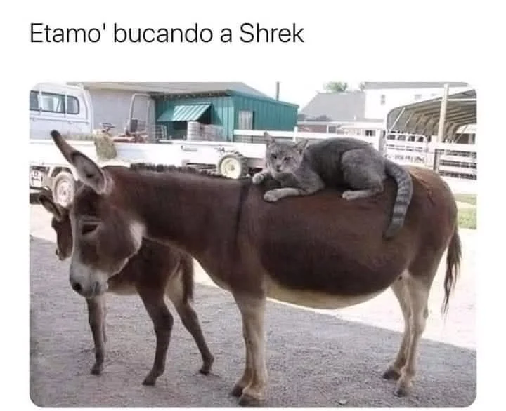 Memes 16 de junio 2026: Lo más viral y divertido