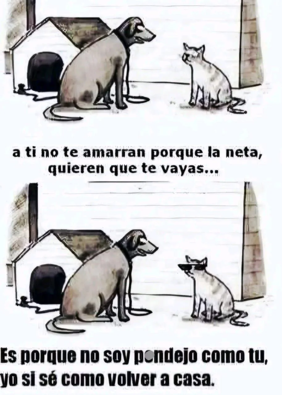 Mi hermano hablandome, JAJAJAJAA