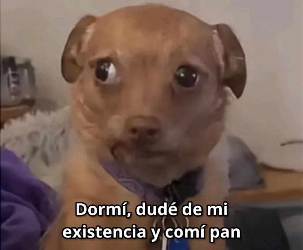 Mi día a día: Memes de la vida cotidiana que te entenderán