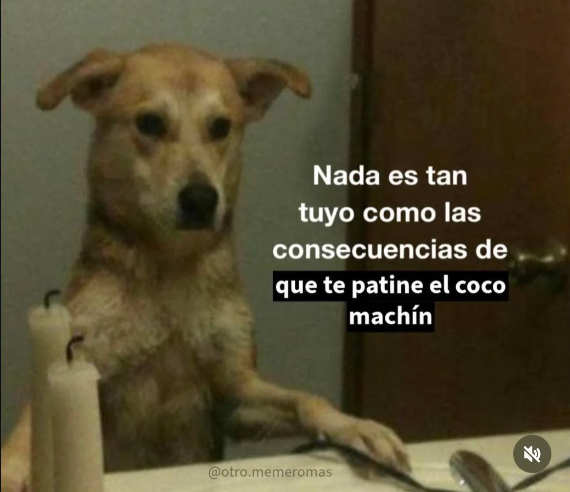 Memes de Jueves: ¡La Dosis Perfecta para Arrancar el Fin de Semana!