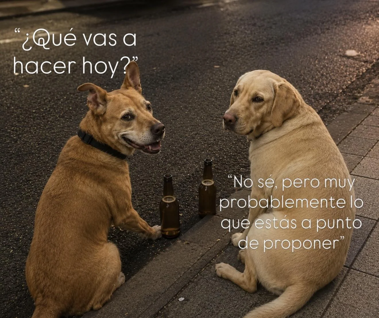 Irnos a dormir…