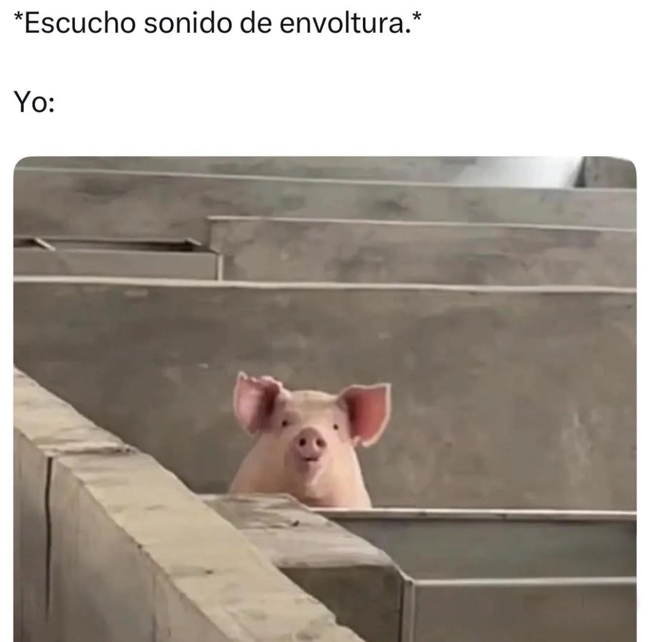 Memes con los que te identificarás al instante 🤣