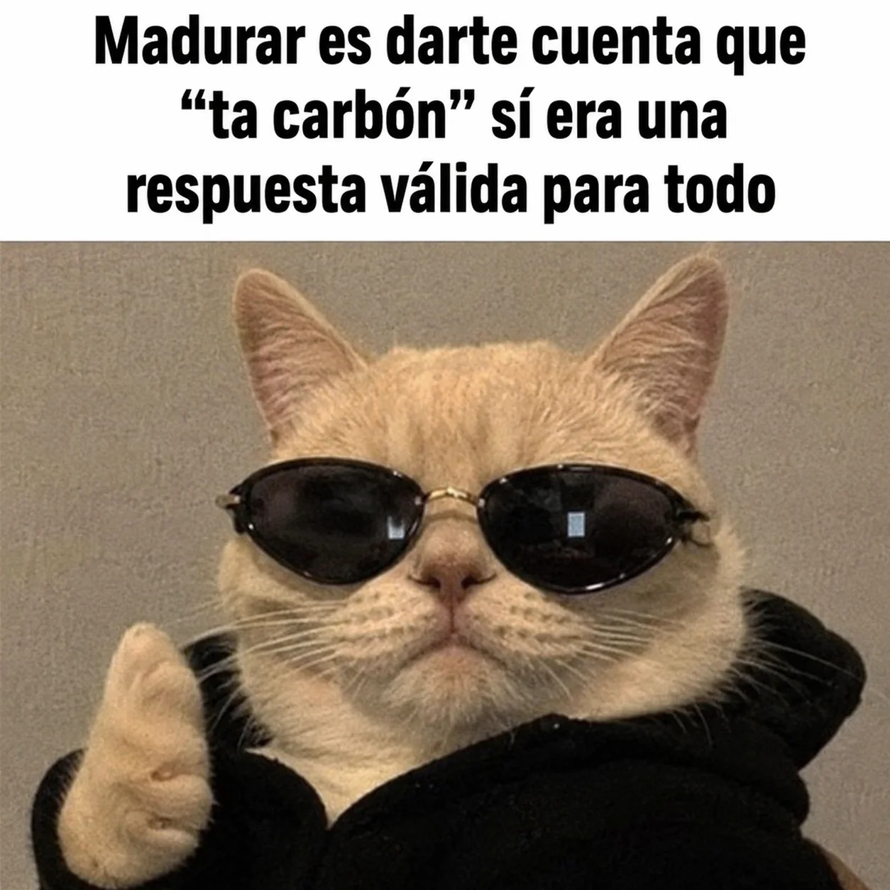 Memes Maduros: Humor Negro y Sarcasmo para Adultos