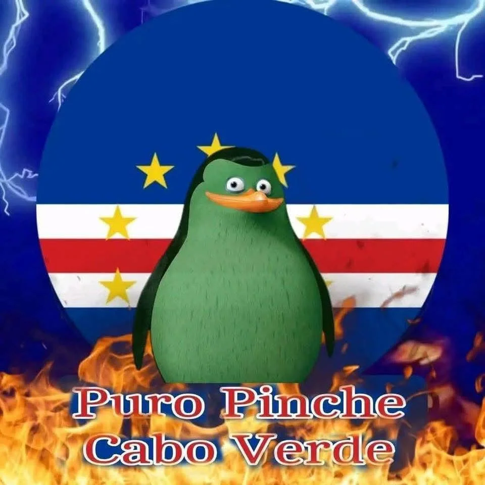 Es probable que vayamos contra Cabo Verde en 16vos, pero mientras... 🇨🇻⚽