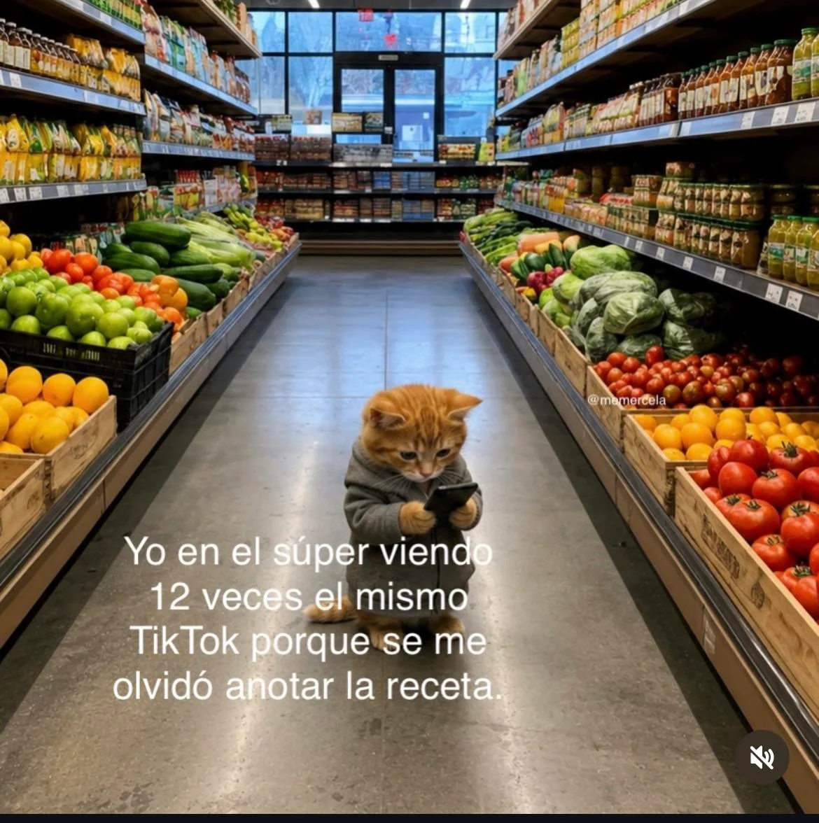 Los mejores memes de miércoles para reír sin parar