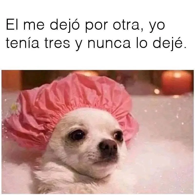 Eso es verdad 😅