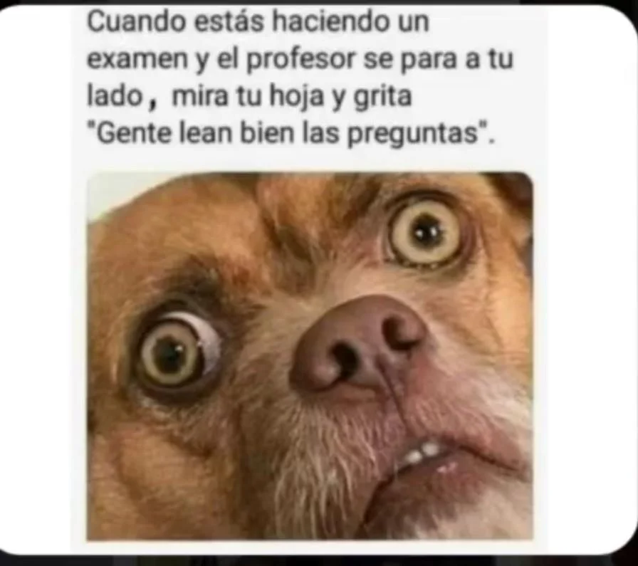 Cuando sientes que ya valiste: Memes para reír y llorar