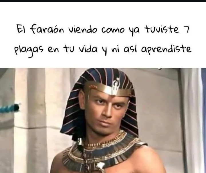 Cuando la vida te golpea y no aprendes: ¡Memes para reír!