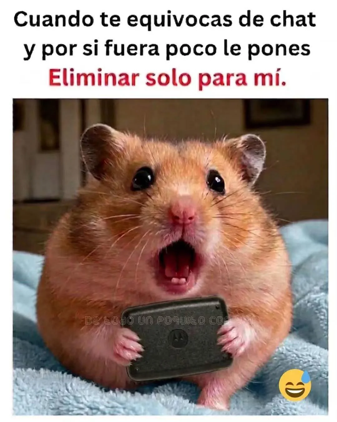 Si me ah pasado! 😝 Y a ustedes?