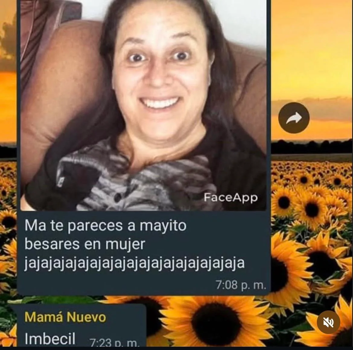 memes domingueros 💐