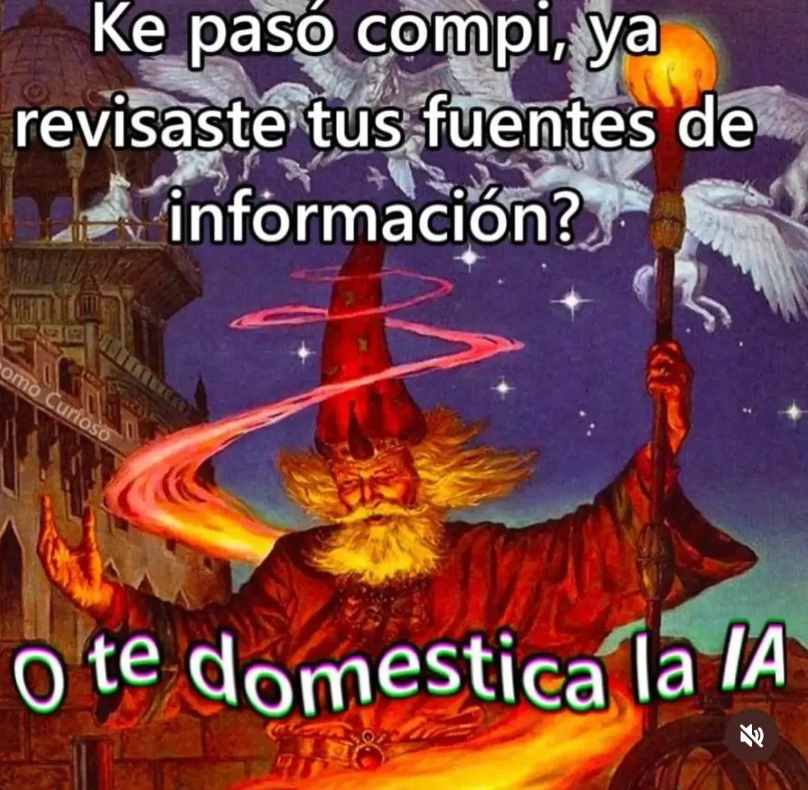 Memes Domingueros Pt. 2: ¡La dosis de risa que necesitas!