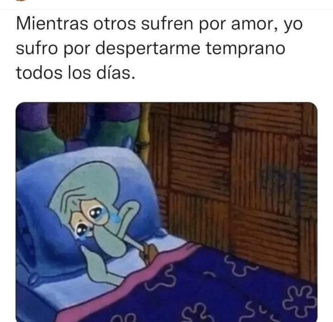 Lunes de memes: ¡La semana apenas empieza y ya queremos que acabe!