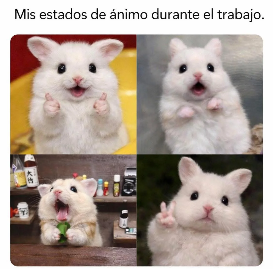 Así pasa
