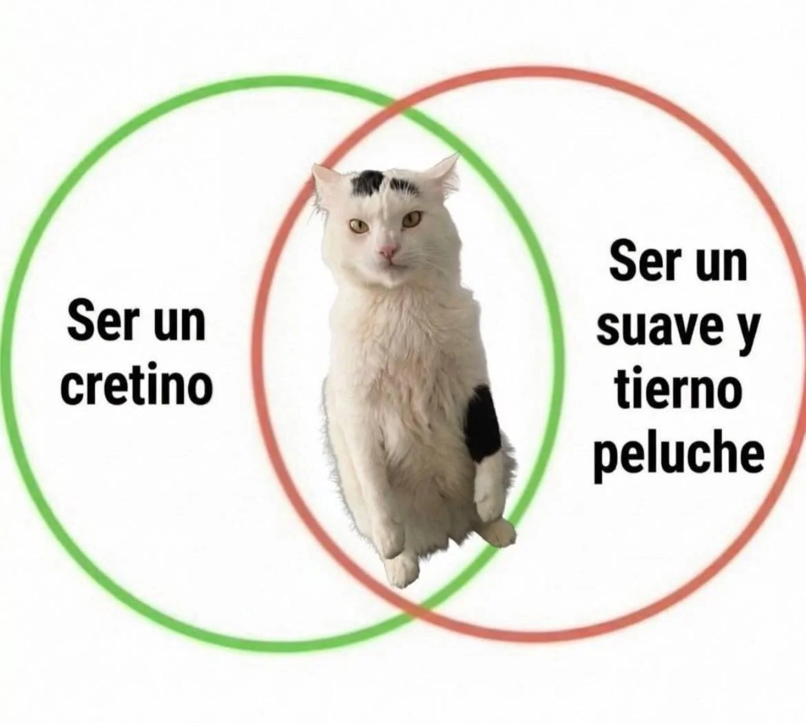 Miércoles con m de memasos