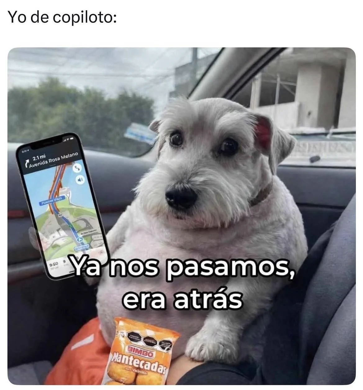 Memes de situaciones que solo a ti te pasan: ¡Identifícate!