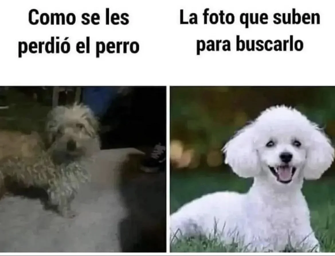JAJAJAJAJA