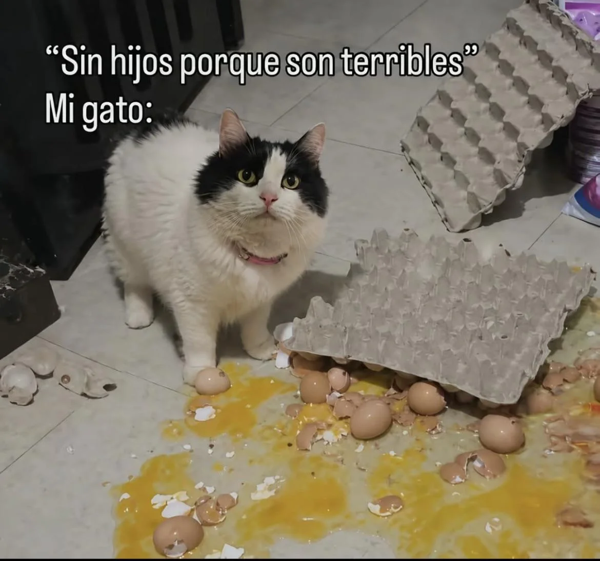 El peor error de mi vida: ¿Hijos o memes? ¡Opino!