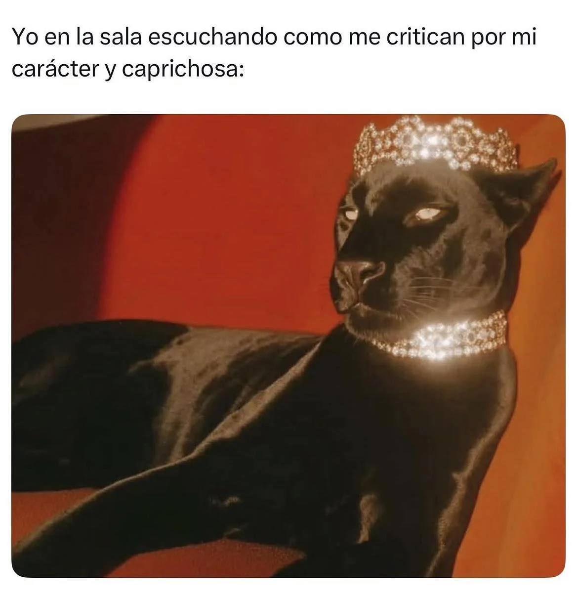 Memes JAJAJAJAJA: Lo más viral y divertido de la semana