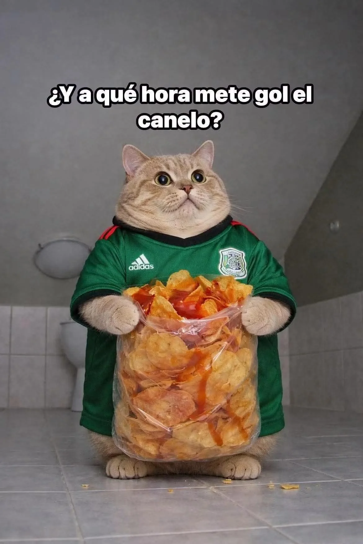 Siendo el alma de la fiesta en el mundial.