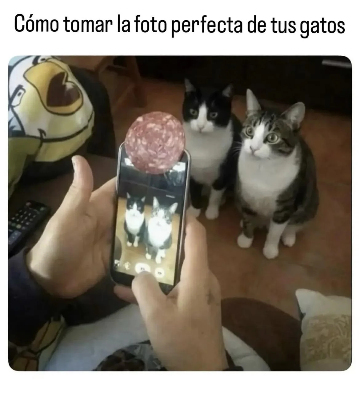 El meme que explica tu vida laboral (jajajaja)
