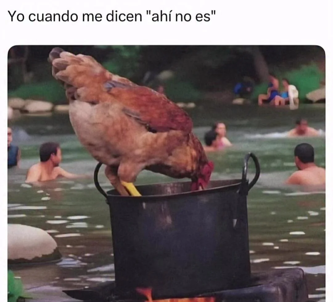 Cuando te identificas con un meme: ¡Si soy! 😂