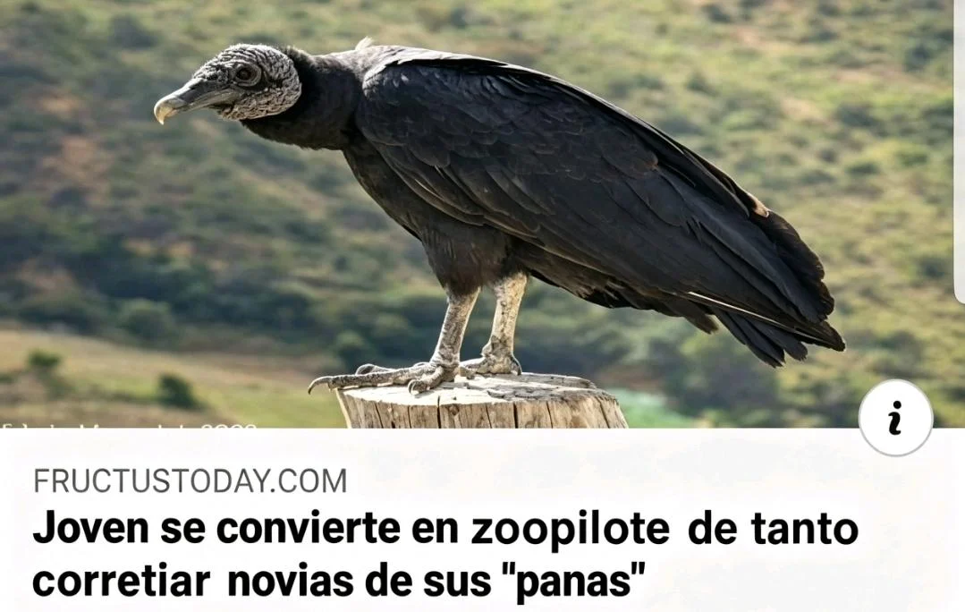 Memes en Español: Lo más viral de México y Latam