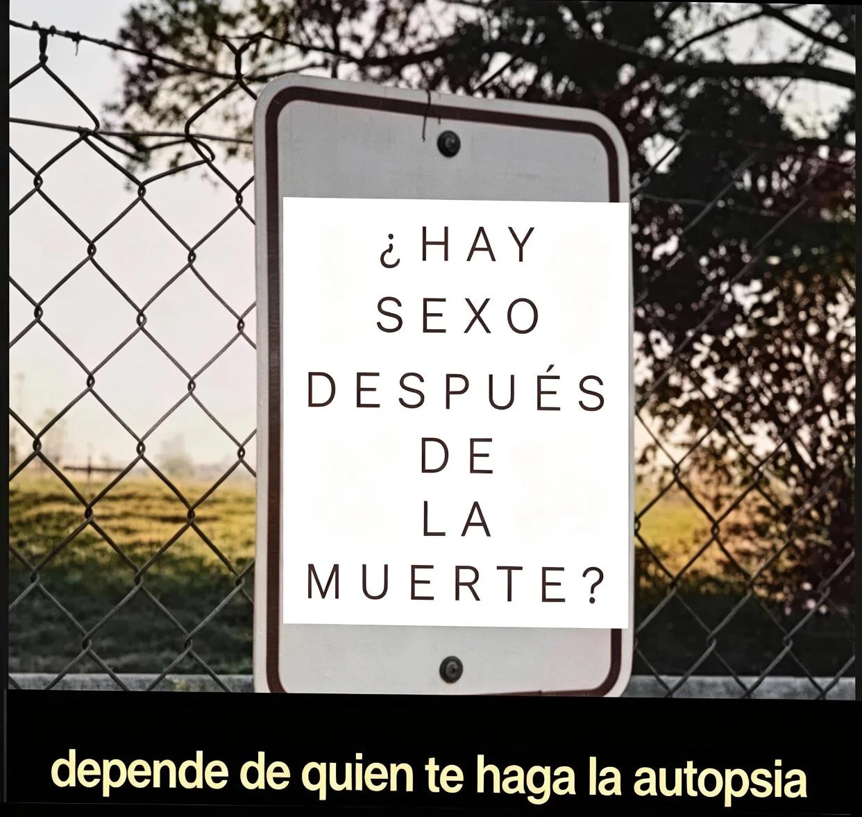 Memes en Español