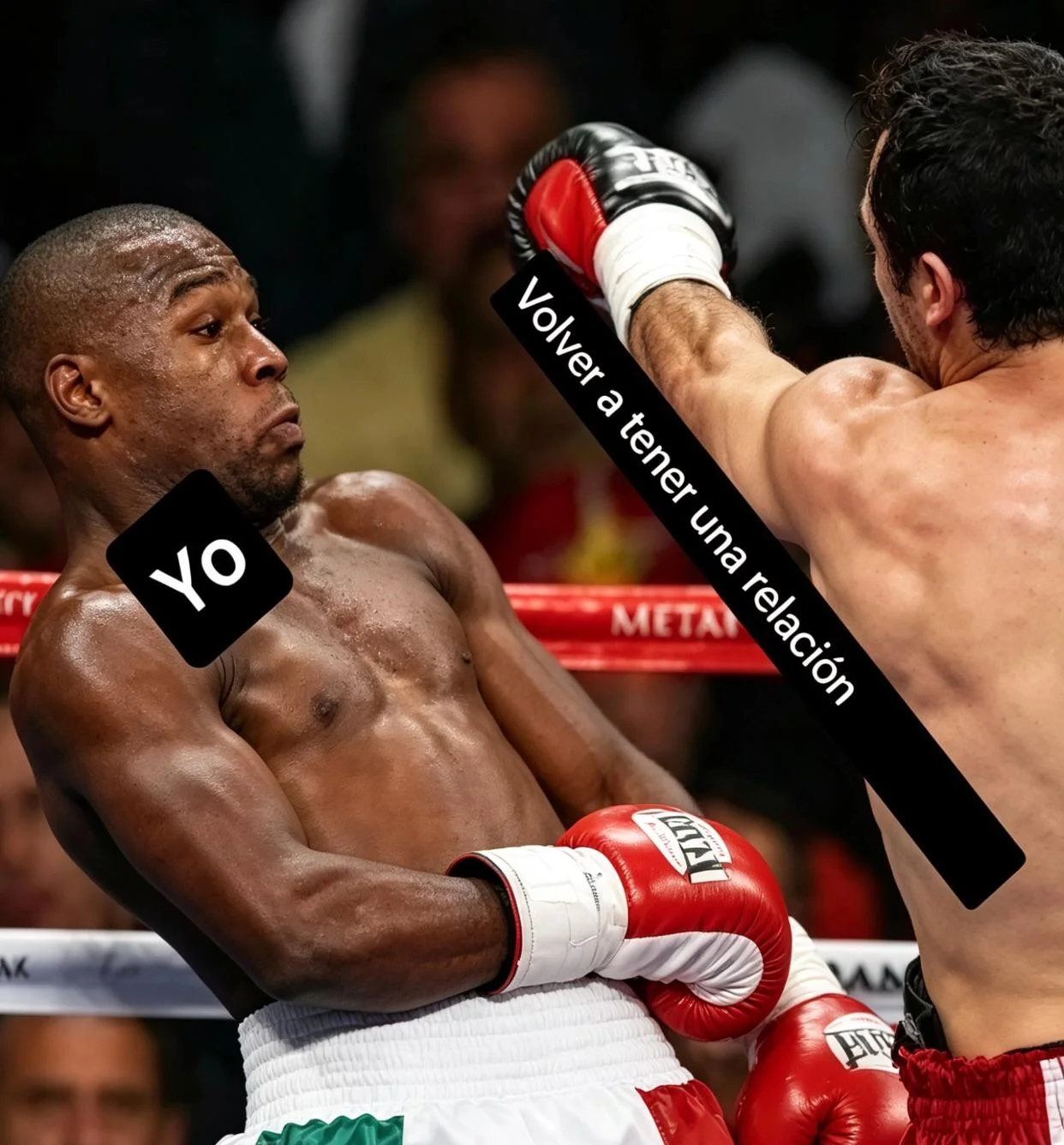 Memes en Español: Lo Más Viral de México y Latam