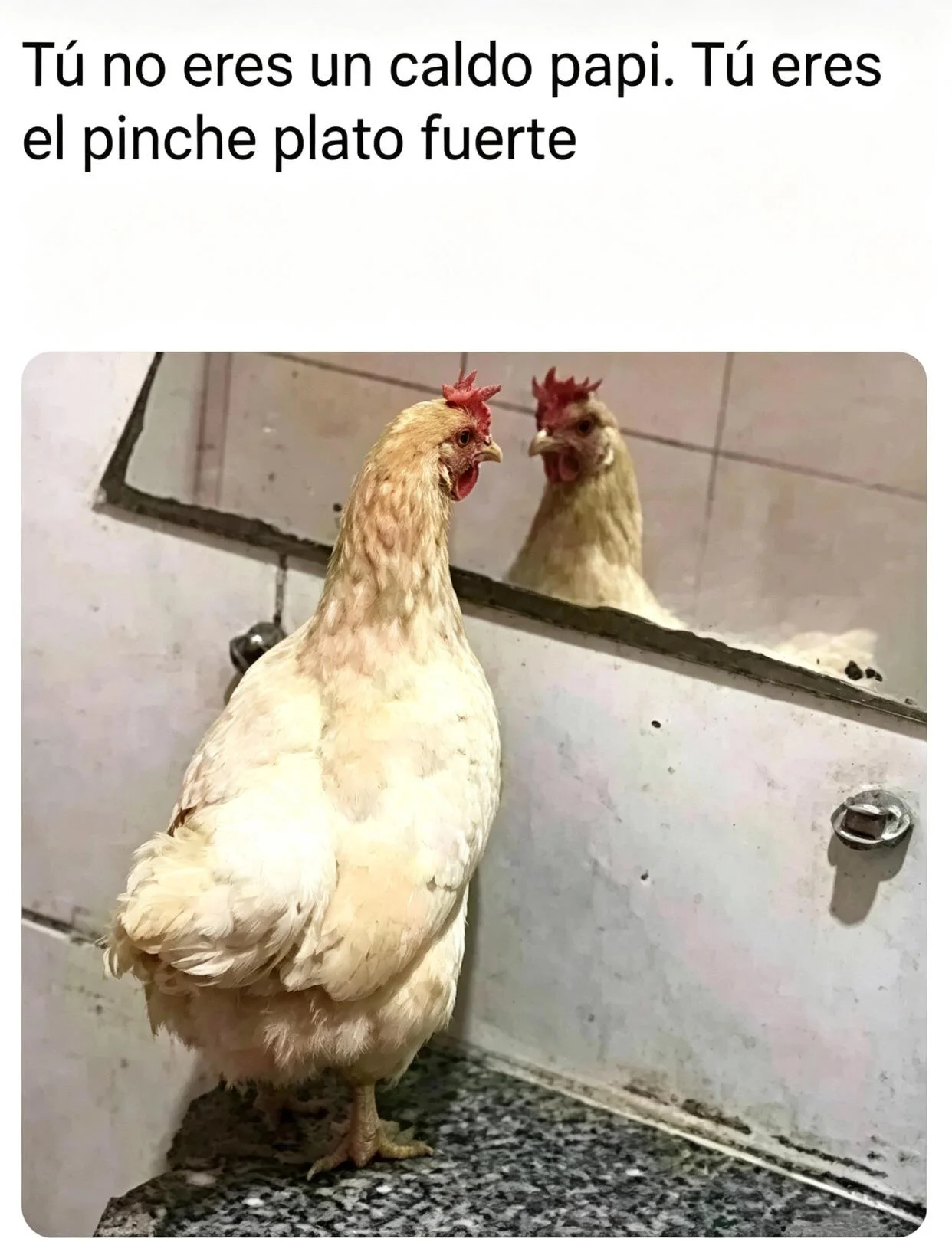 Memes en Español