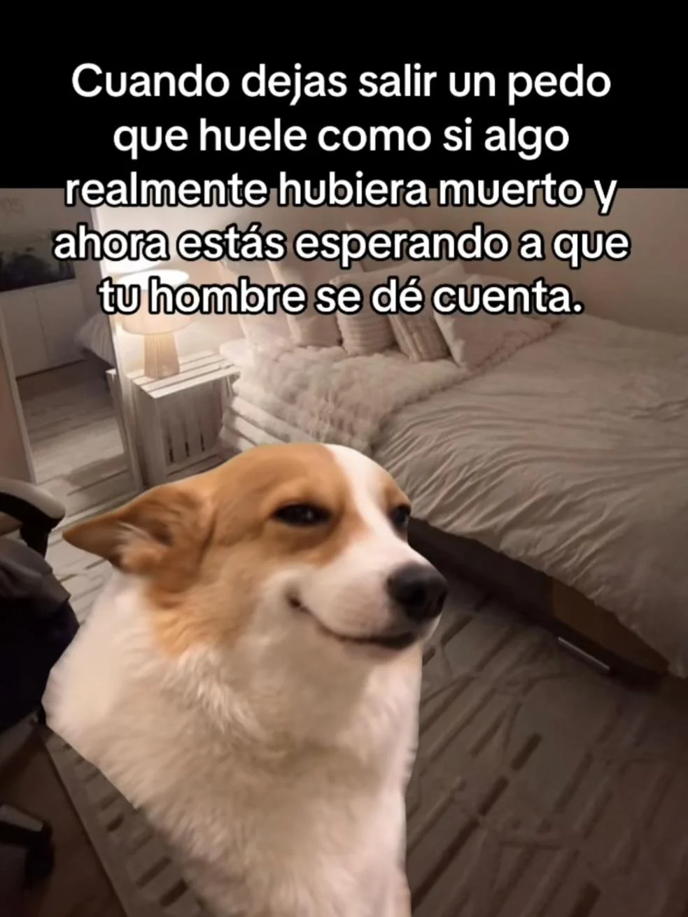 ¡Yess! El meme que celebra tus pequeños triunfos