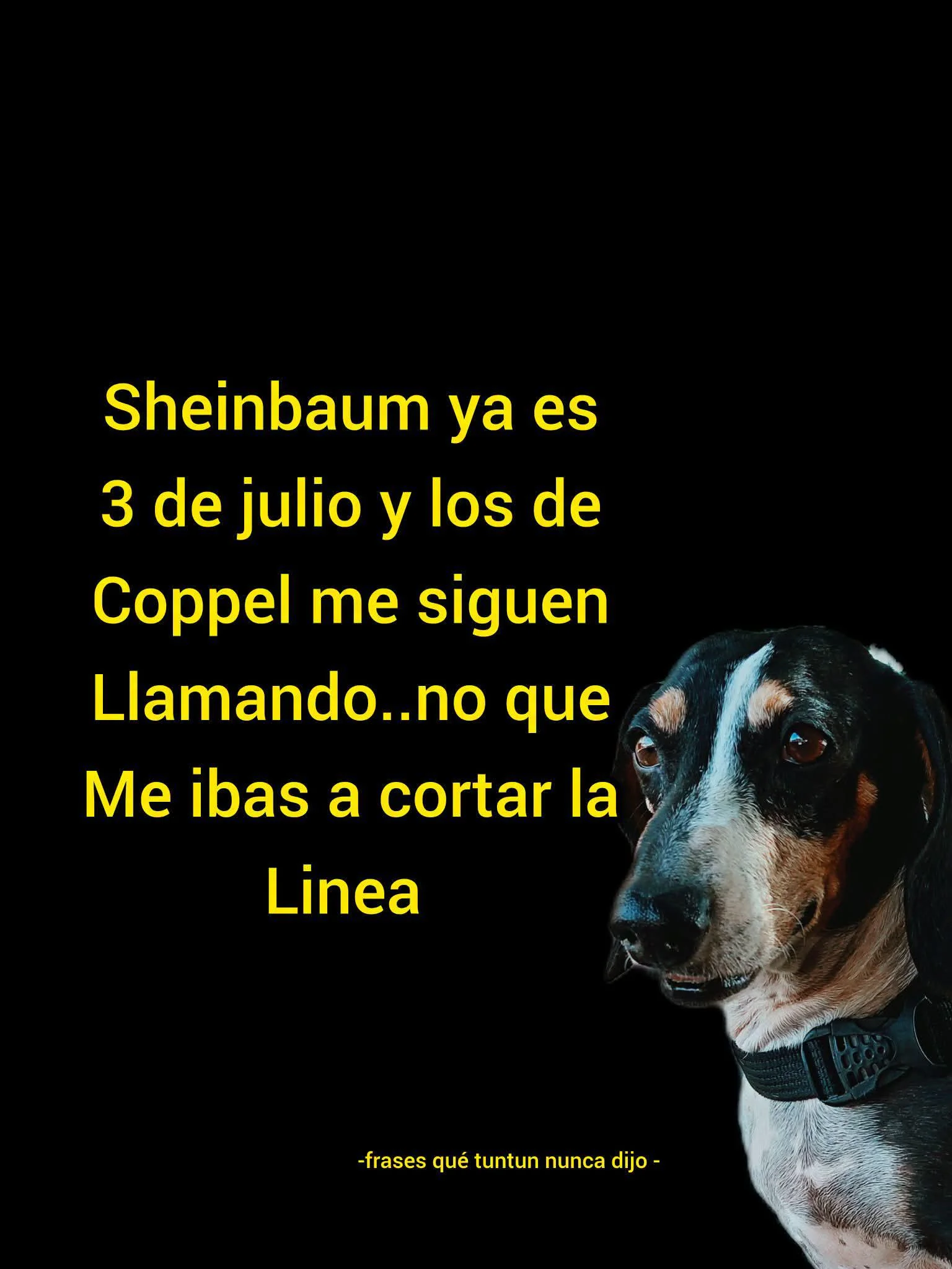 Me decepcionas Shitbaun.