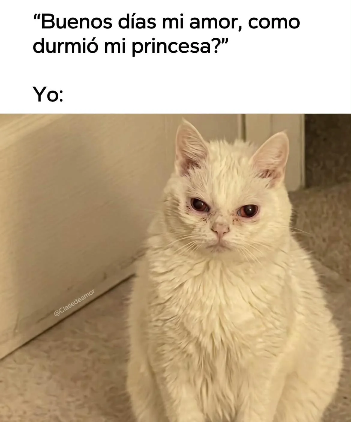 Jajaja siempre