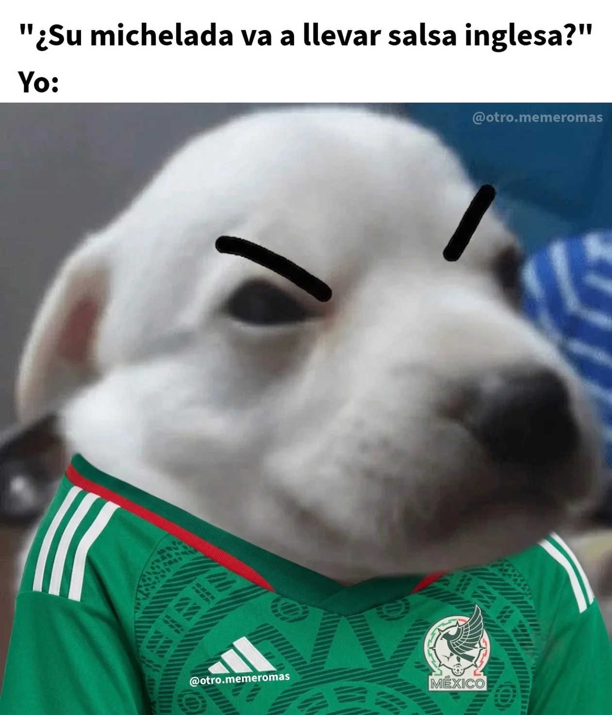 memes random antes del partido🍺