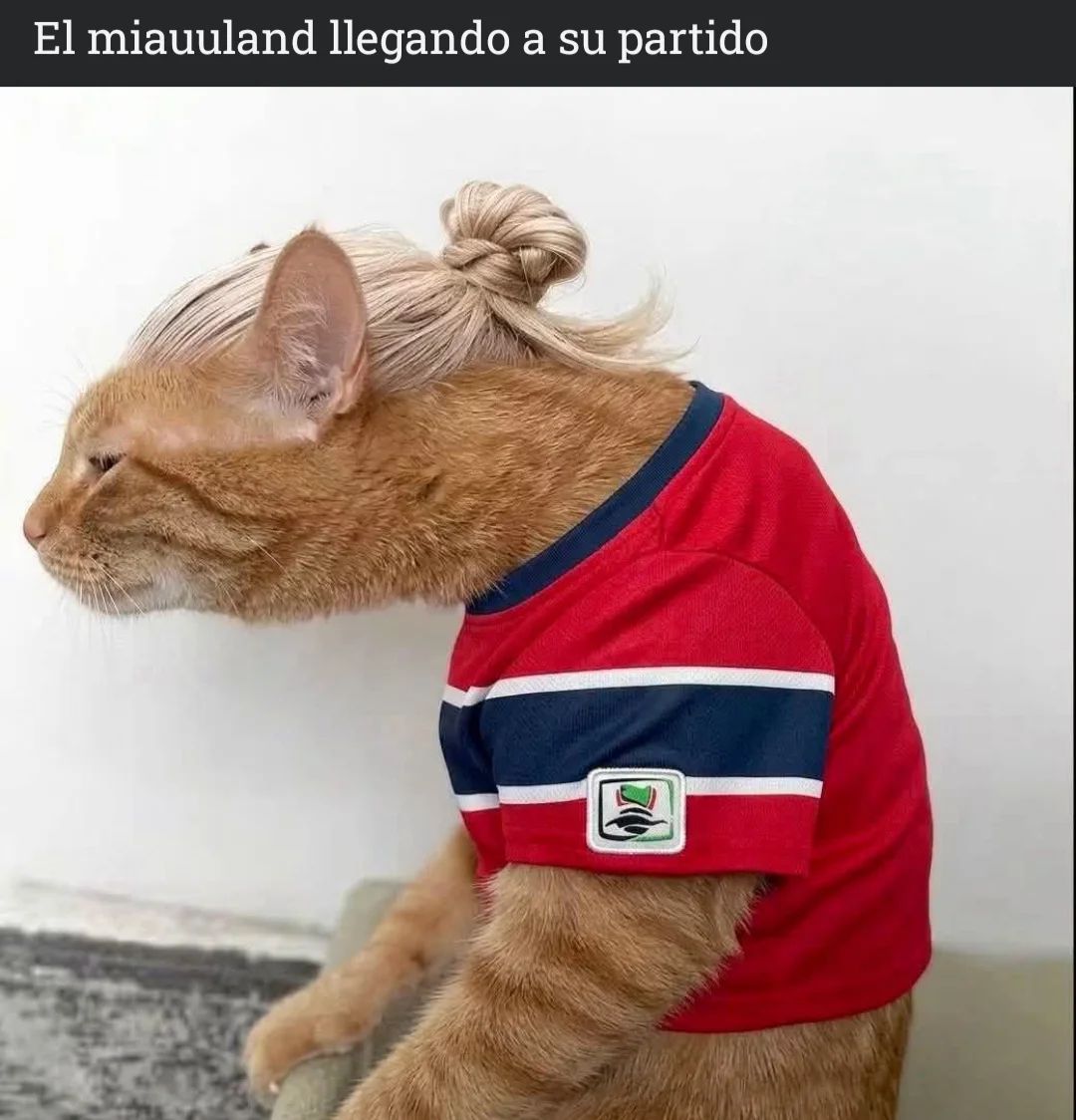 Memes graciosos que te harán reír a carcajadas