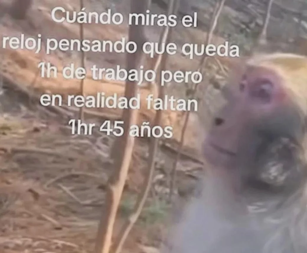 Oh vaya… ¡los memes más épicos que te harán decir lo mismo!