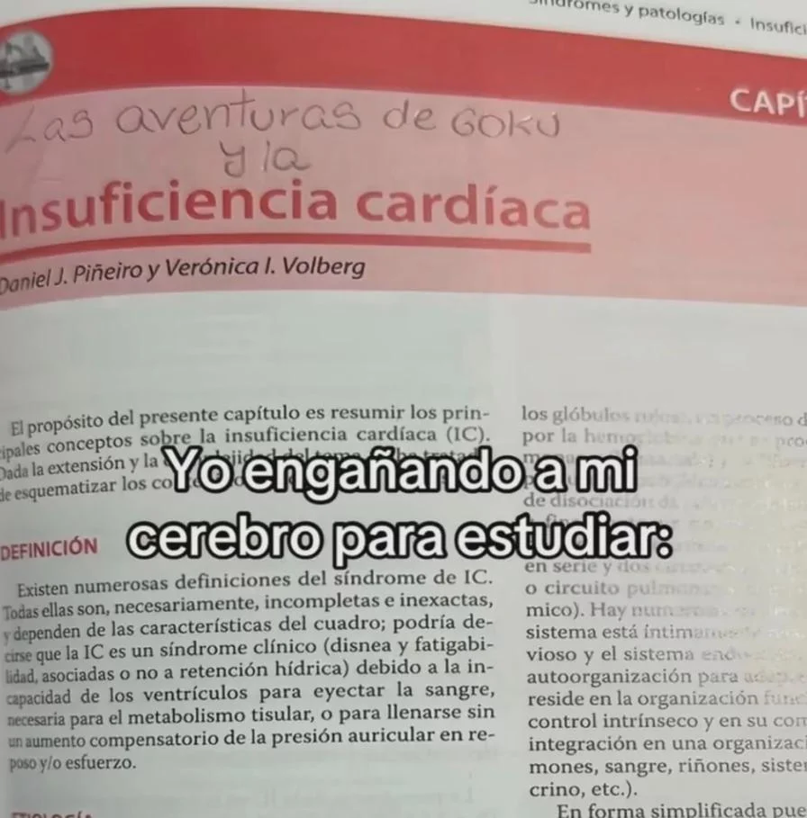 Mi cerebro negociando: memes de decisiones difíciles y dilemas