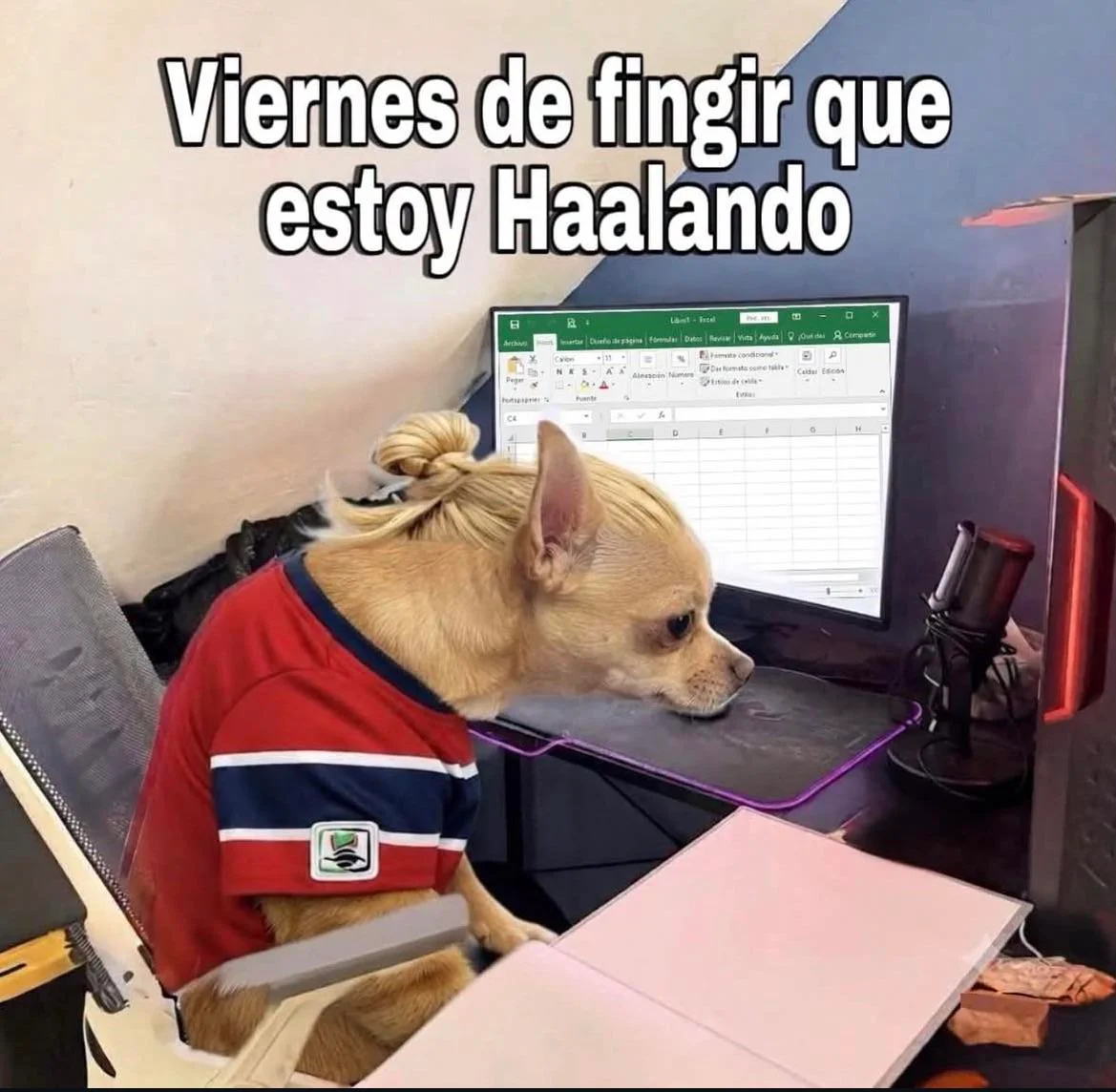 memes de viernes, segunda parte 👻