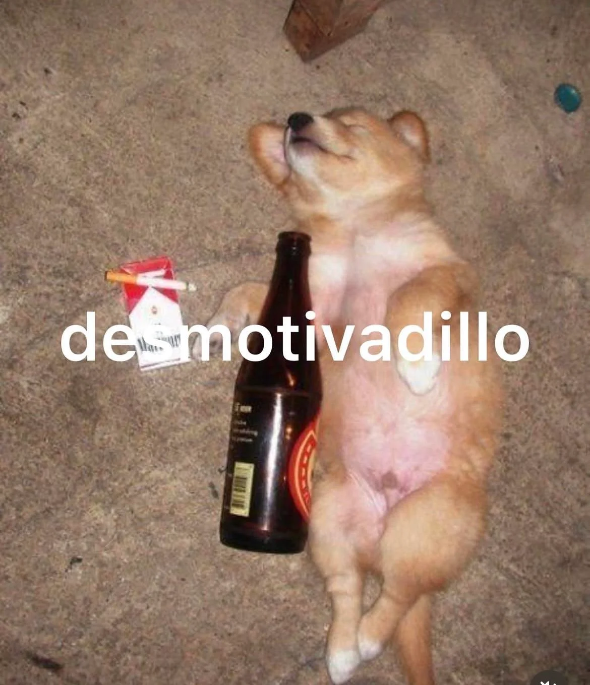 memes de viernes, tercera parte 🫰💖