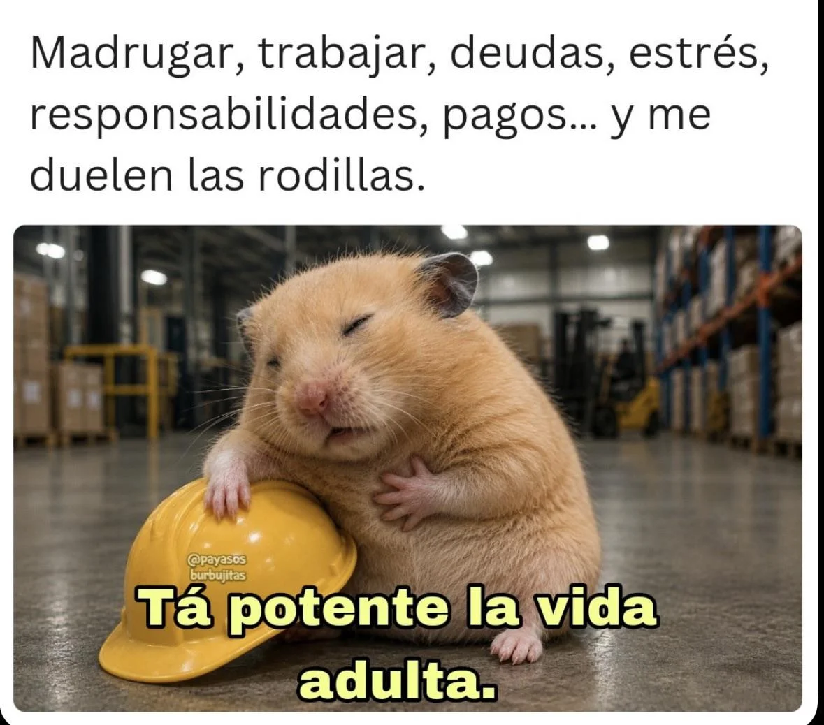 Es dura 😂😂